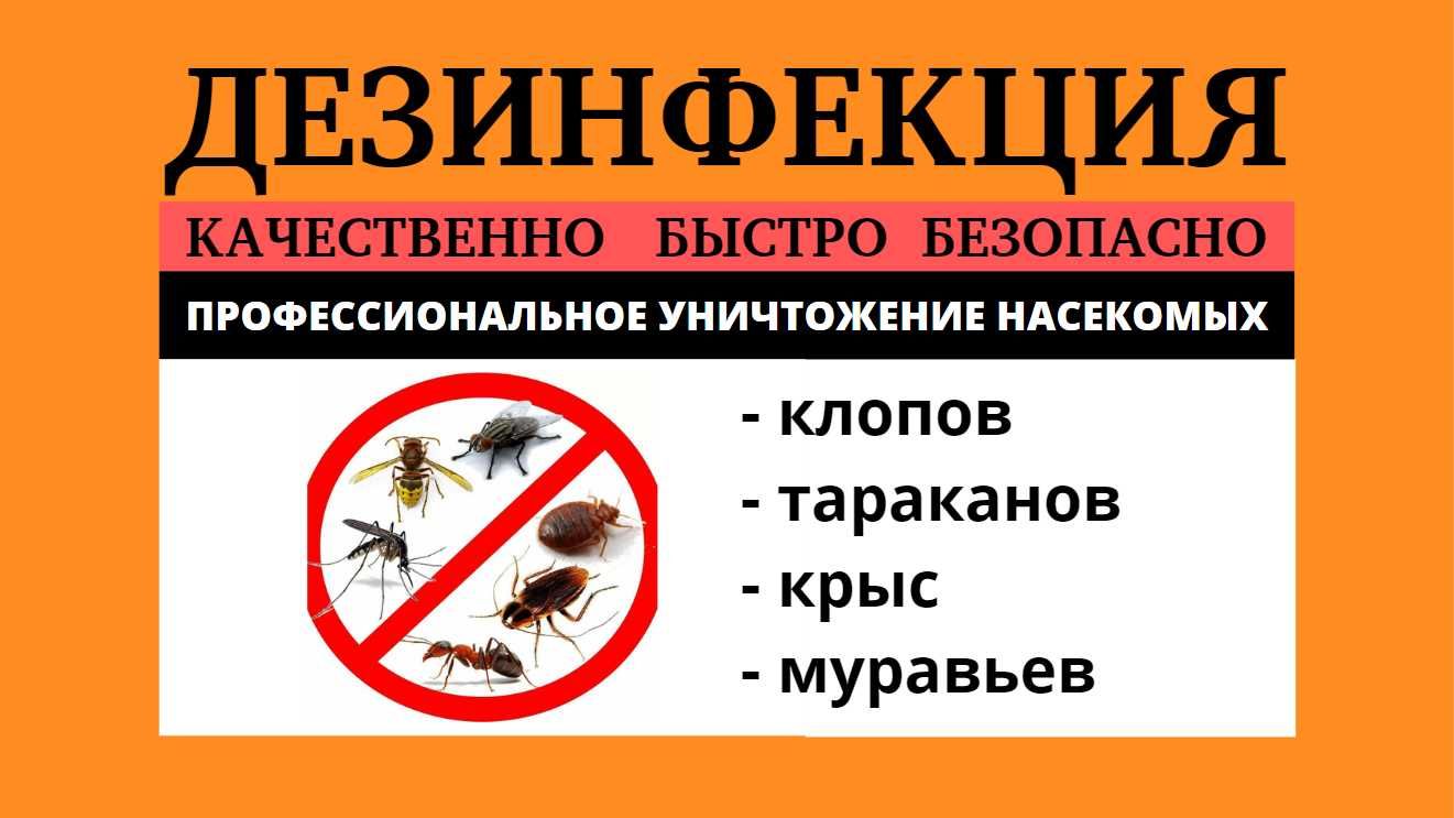 Дезинфекция Уничтожение клопов тараканов ос мошек блох муравьев крыс