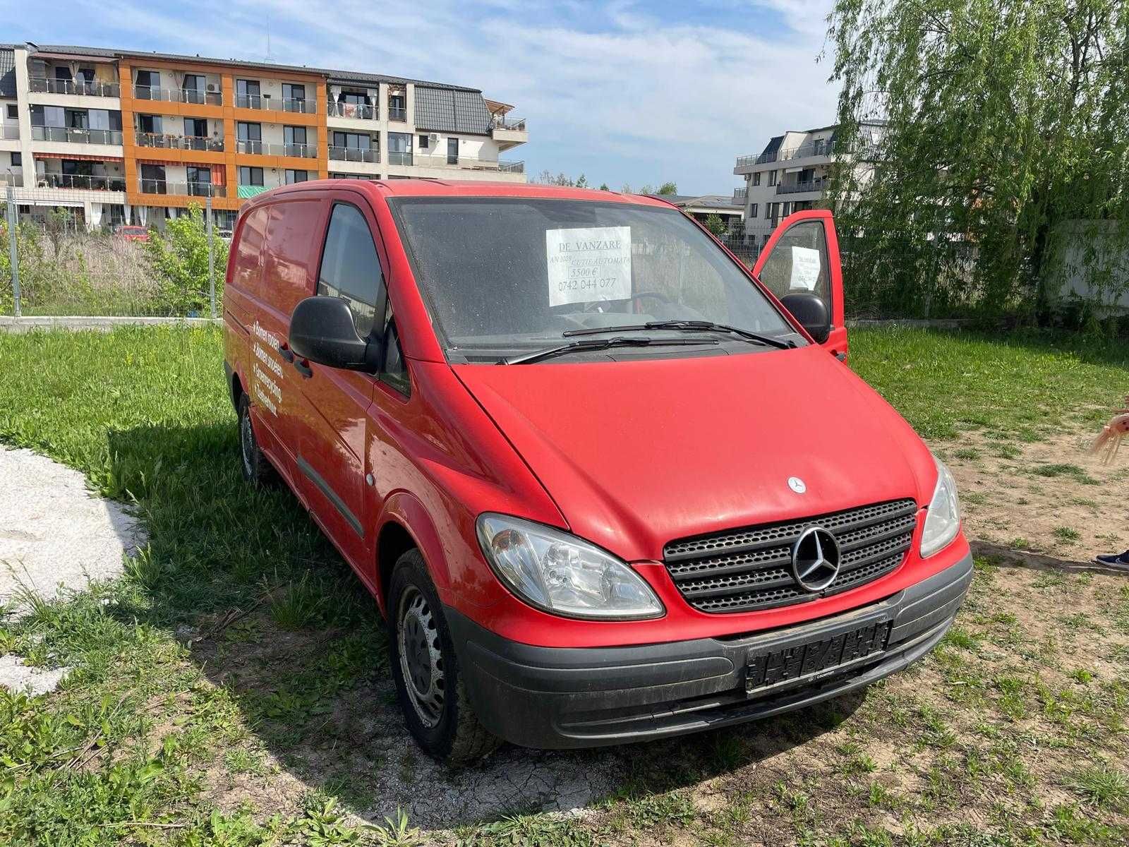 Mercedes Vito-Rosu