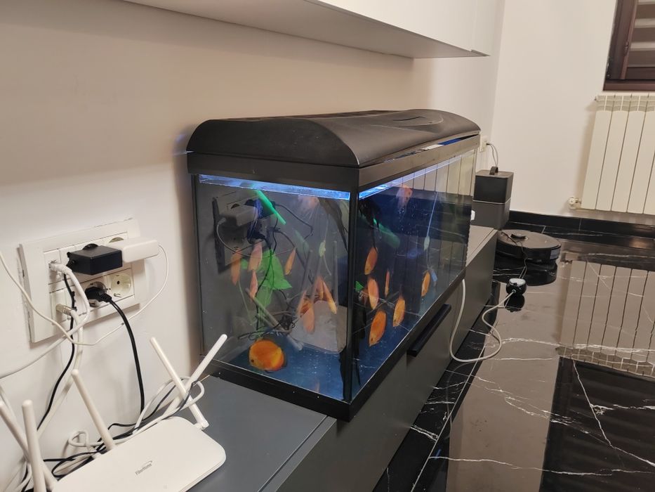 Vând acvariu 110 litrii wave și filtru extern (fara pesti)