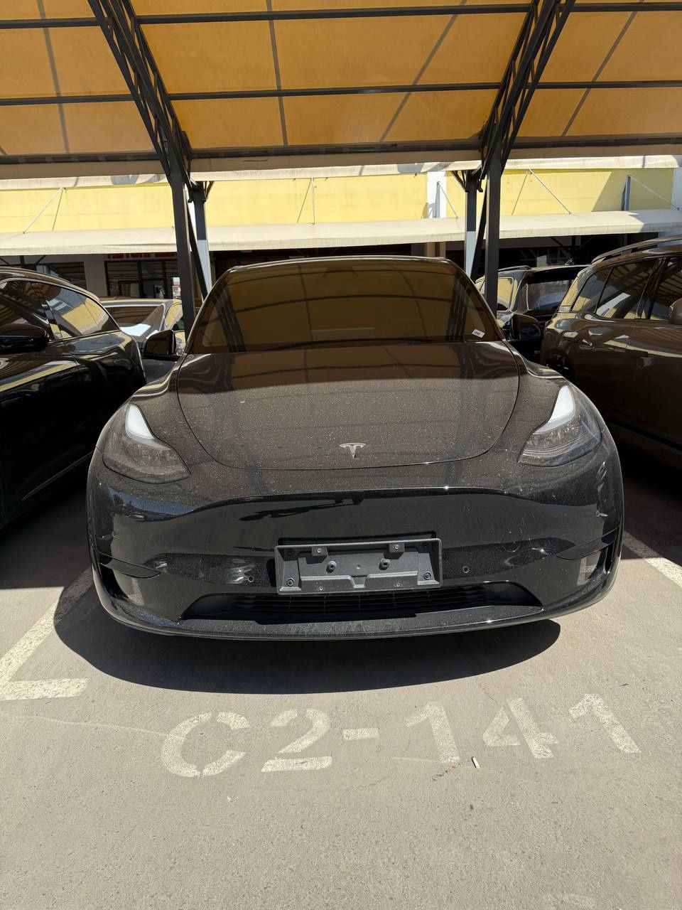 Tesla y model elektr