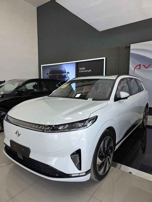 Domfeng 008 max 2025 gibrit