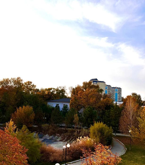 Новомосковская стадион старт 2,7 соток фасад 11,5 метров