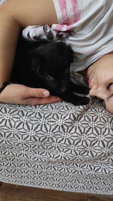 Люди добрые возьмите щеночка нашли в актасе в школьном дворе