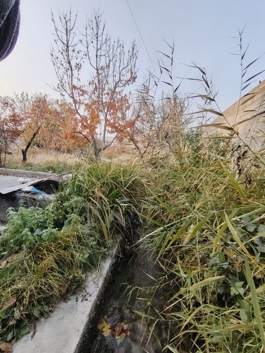 Участка Йули буйида срочно Сотилади