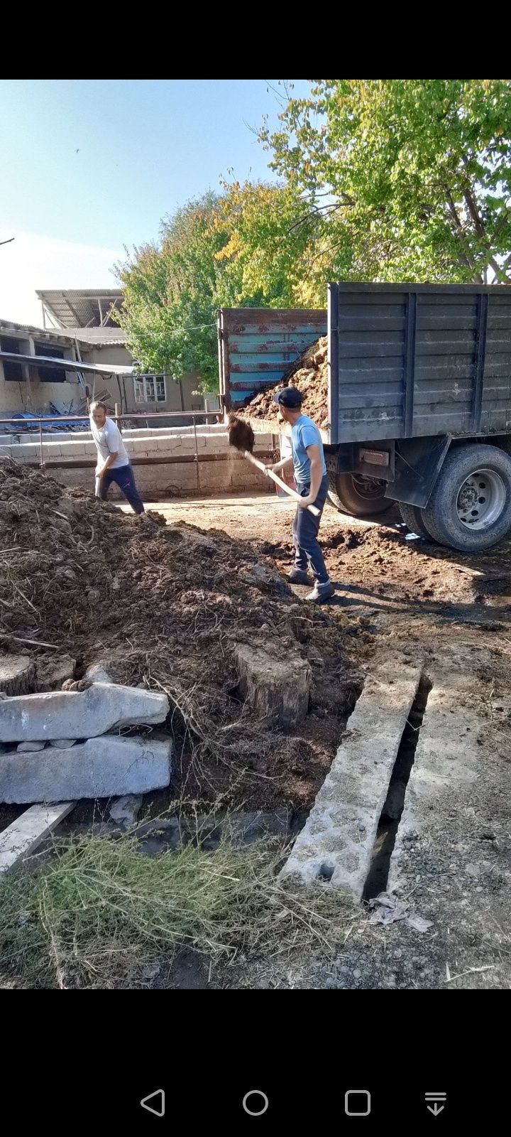 Toza mol pori Tomorqa uchun