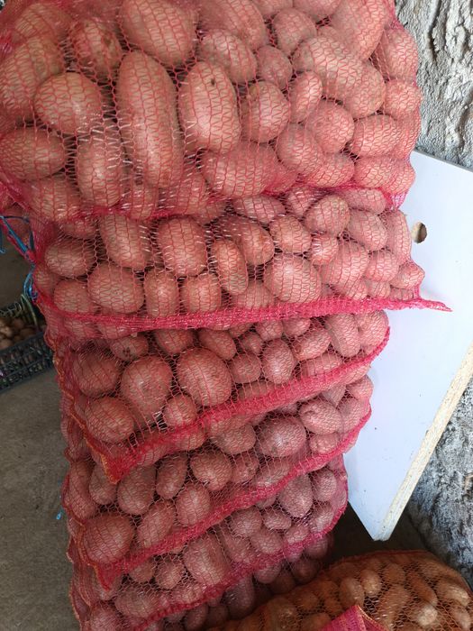 Cartofi albi și rosii