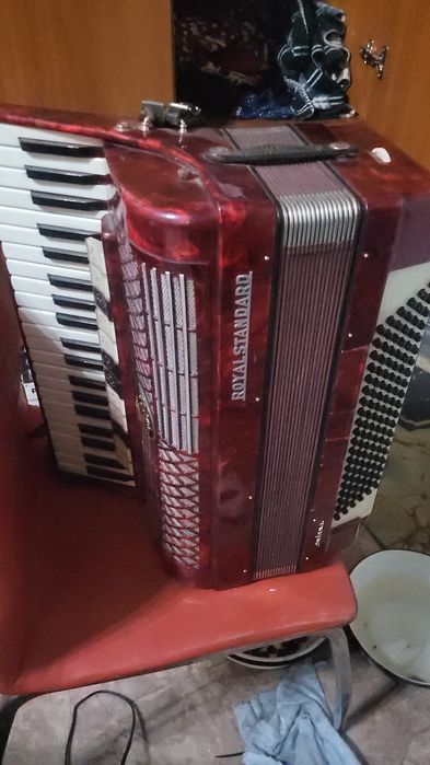 Аккордеон Монтана.