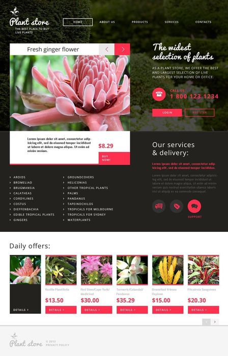 Creare site - Publicitate - Facebook, Google, Tiktok, Insta, Ploiesti