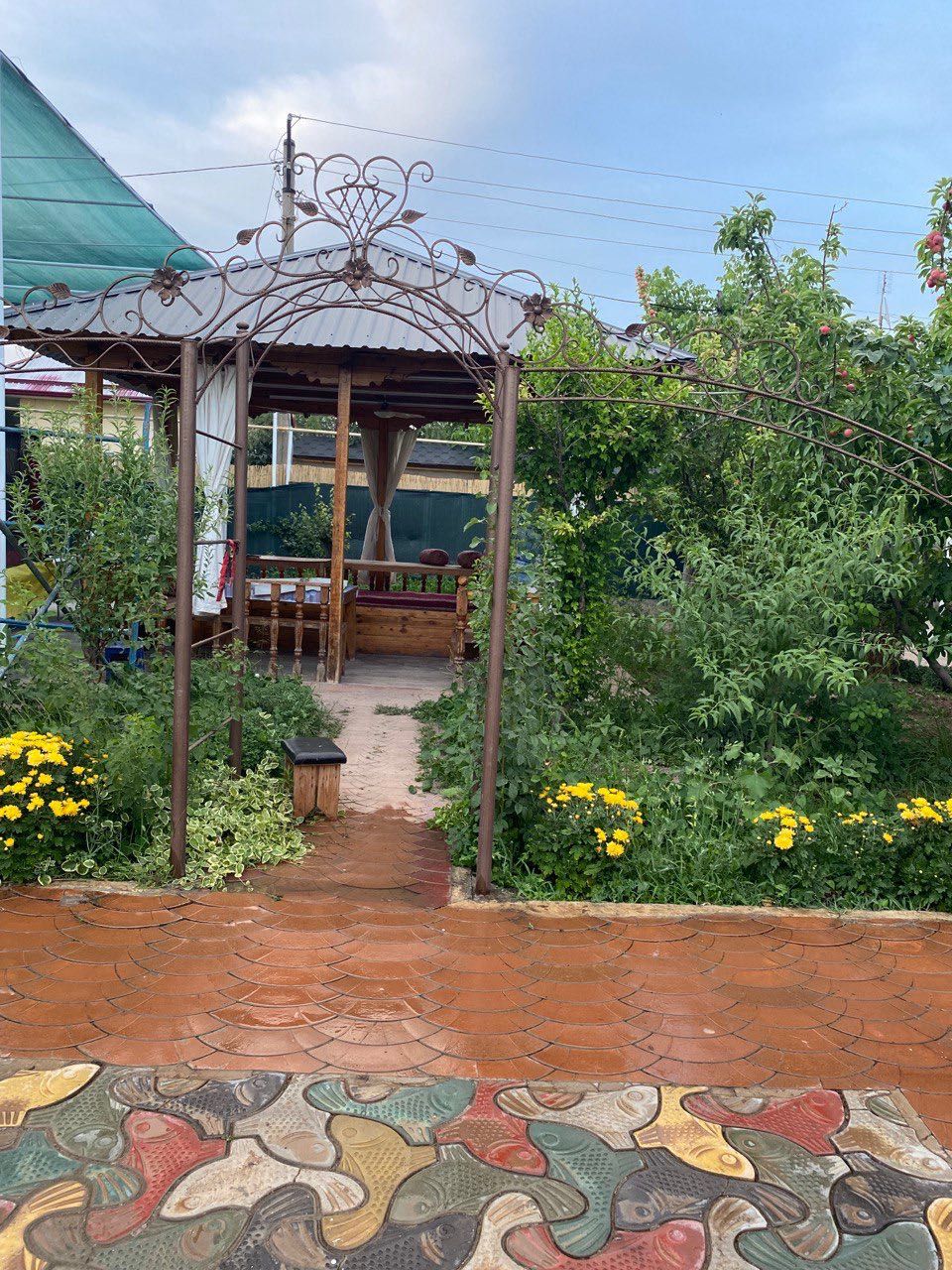 Dacha Arenda Chirchiq