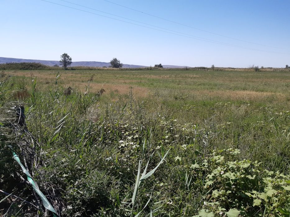 Земельный участок 2.4 га