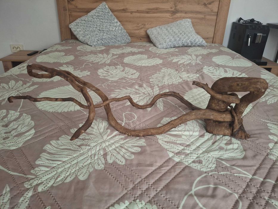 Корен за Аквариум