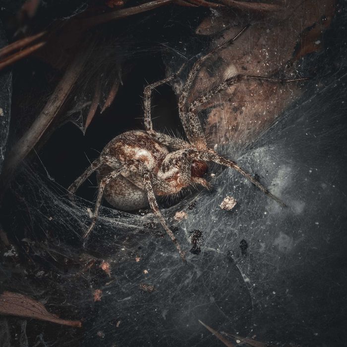 Обектив Sigma 105mm f2.8 Macro за Sony FE