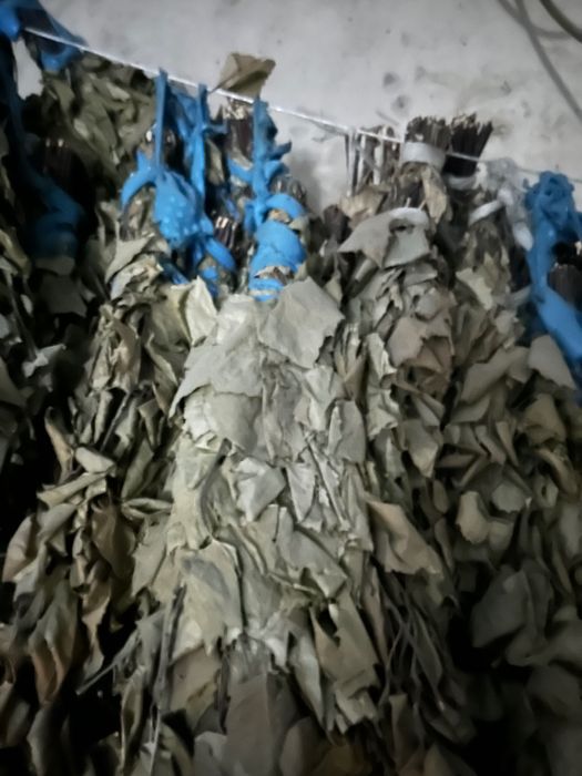 Продам березовые веники