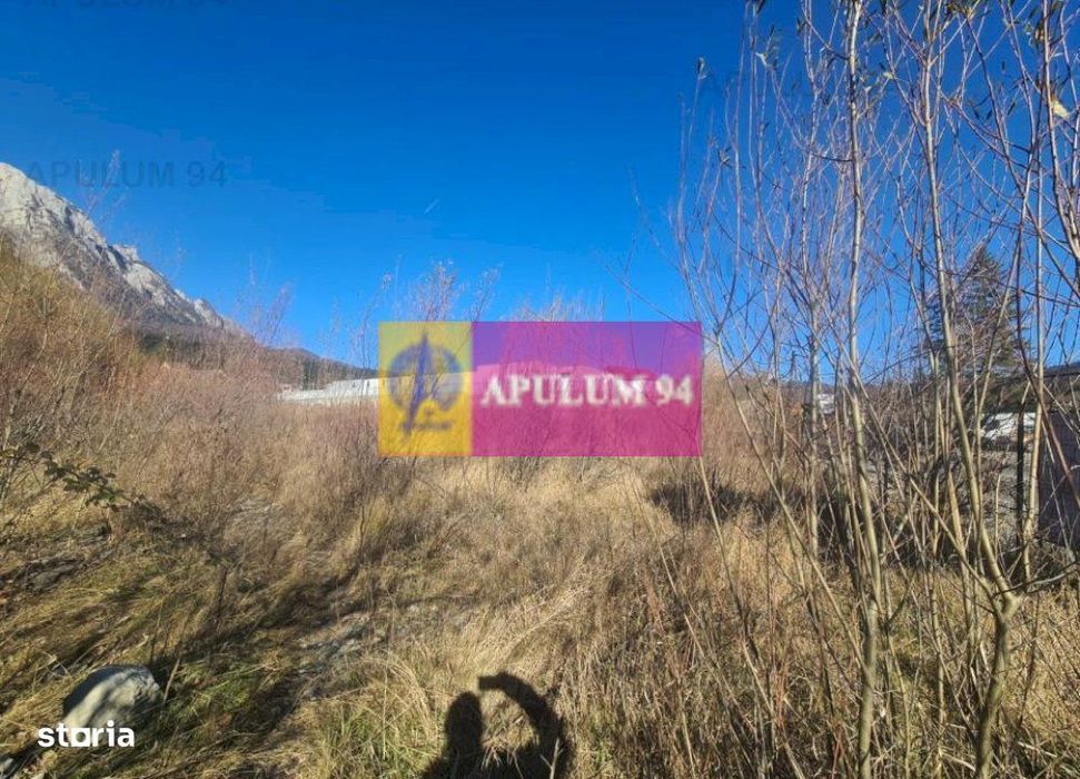 Teren intravilan de vânzare în Bușteni - Zona centrala