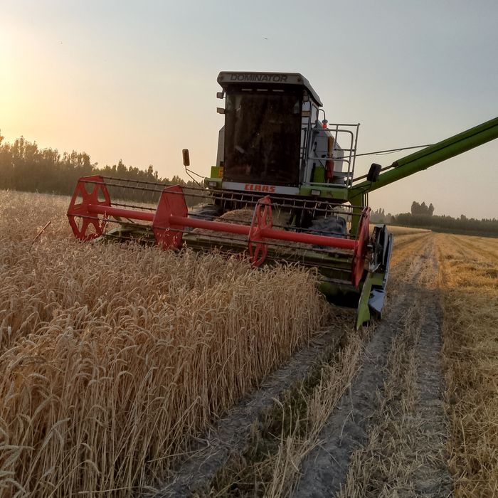 Claas daminator 130