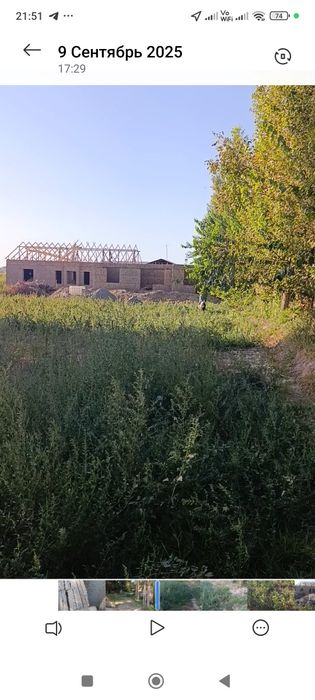 Янгийул Хамракулда 3 сутих ер сотилади