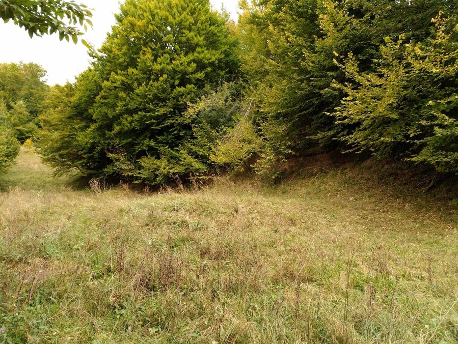 Teren de vanzare Slanic Moldova