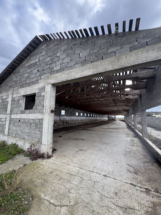 Pretabil Afacere Jumatate de Hectar cu 4 constructii