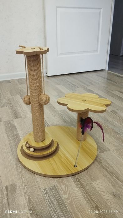 Кошачья когтеточка