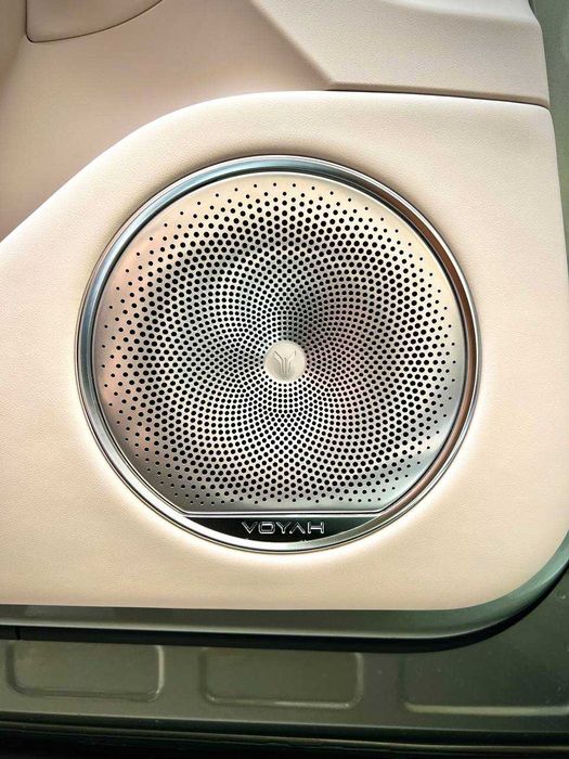 Voyah Free PLUS (Все цвета в наличии) (гарантия)