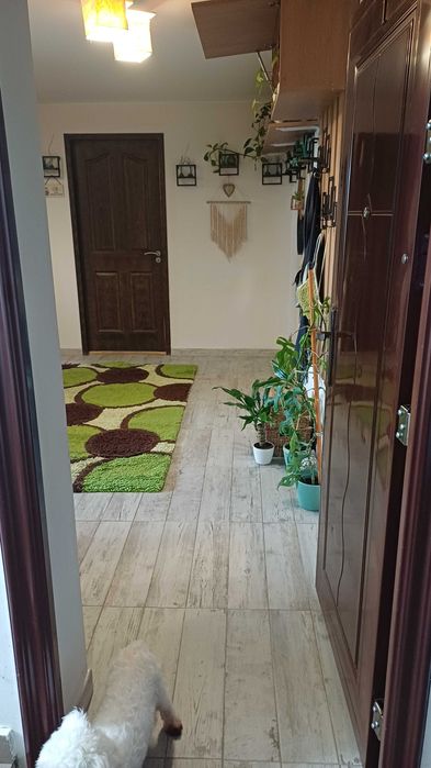 Apartamentul de vânzare