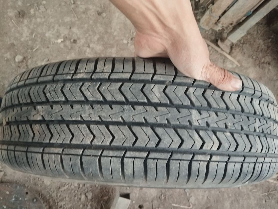 Balon Demetir 185/70/13 lik