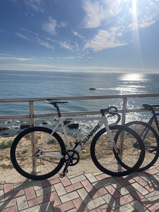 Fixed gear tsunami snm100