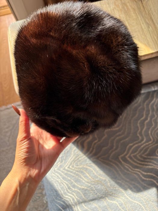 Норкова шапка . СРОЧНАЯ разгрузка