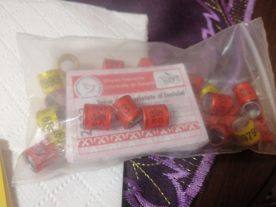 Vînd inele porumbei