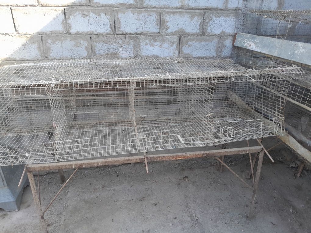 Setka tovuqlar uchun