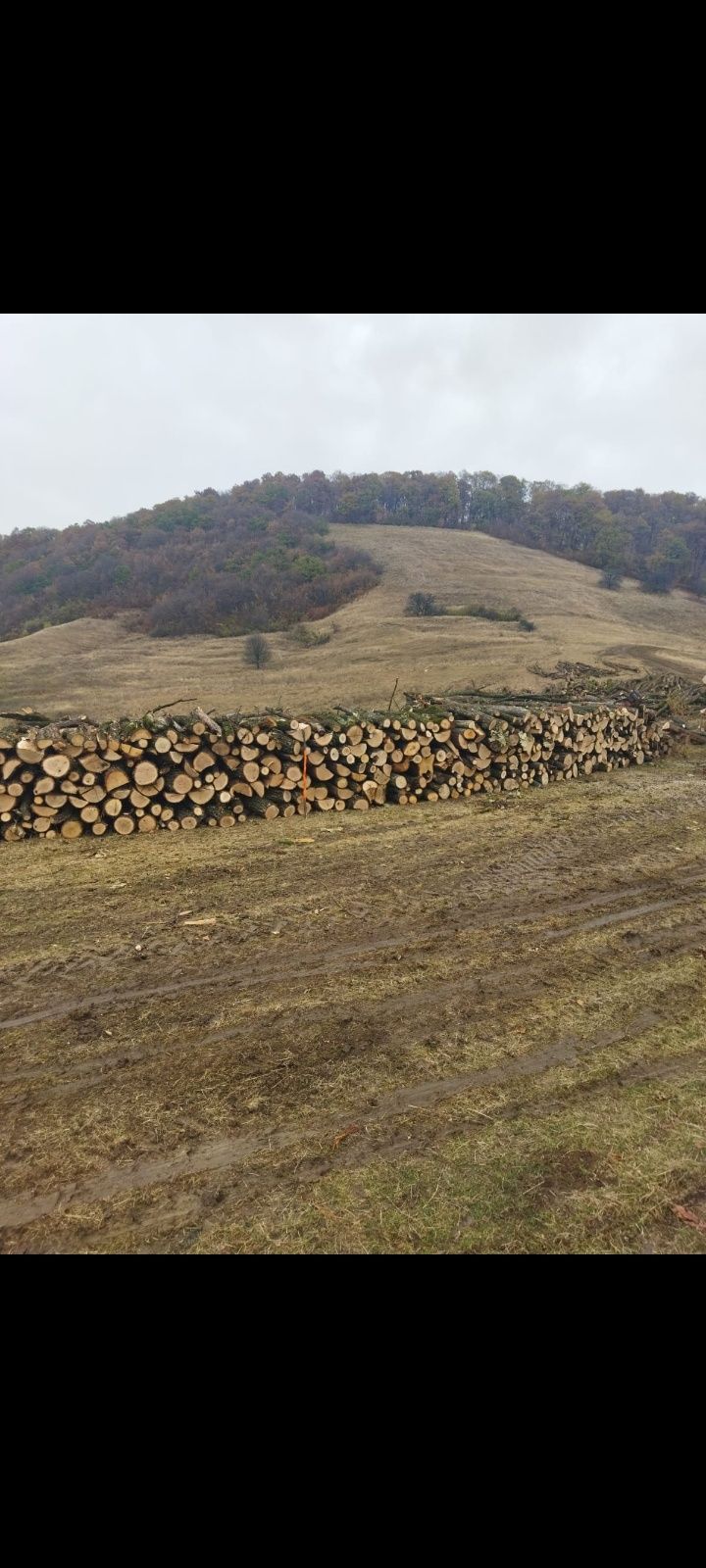 Lemn de foc carpen/stejar Brasov