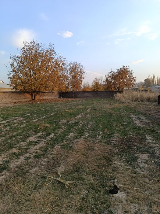 Shahrisabzdan Uchaska sotiladi