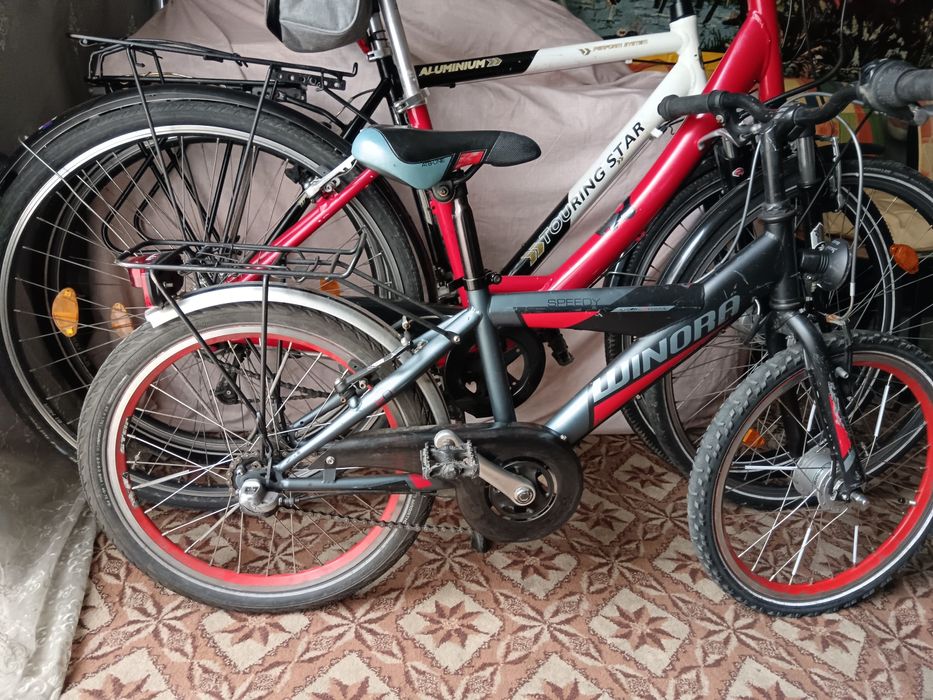 Bicicleta adulți