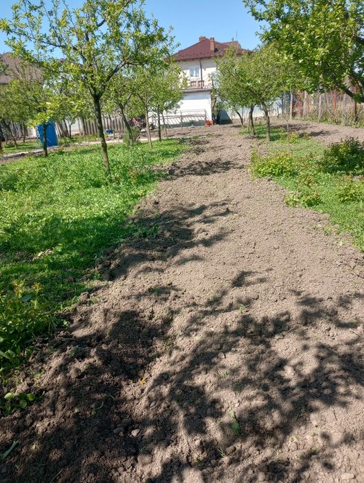 Lucrări  cu motocultor cositoare drujba