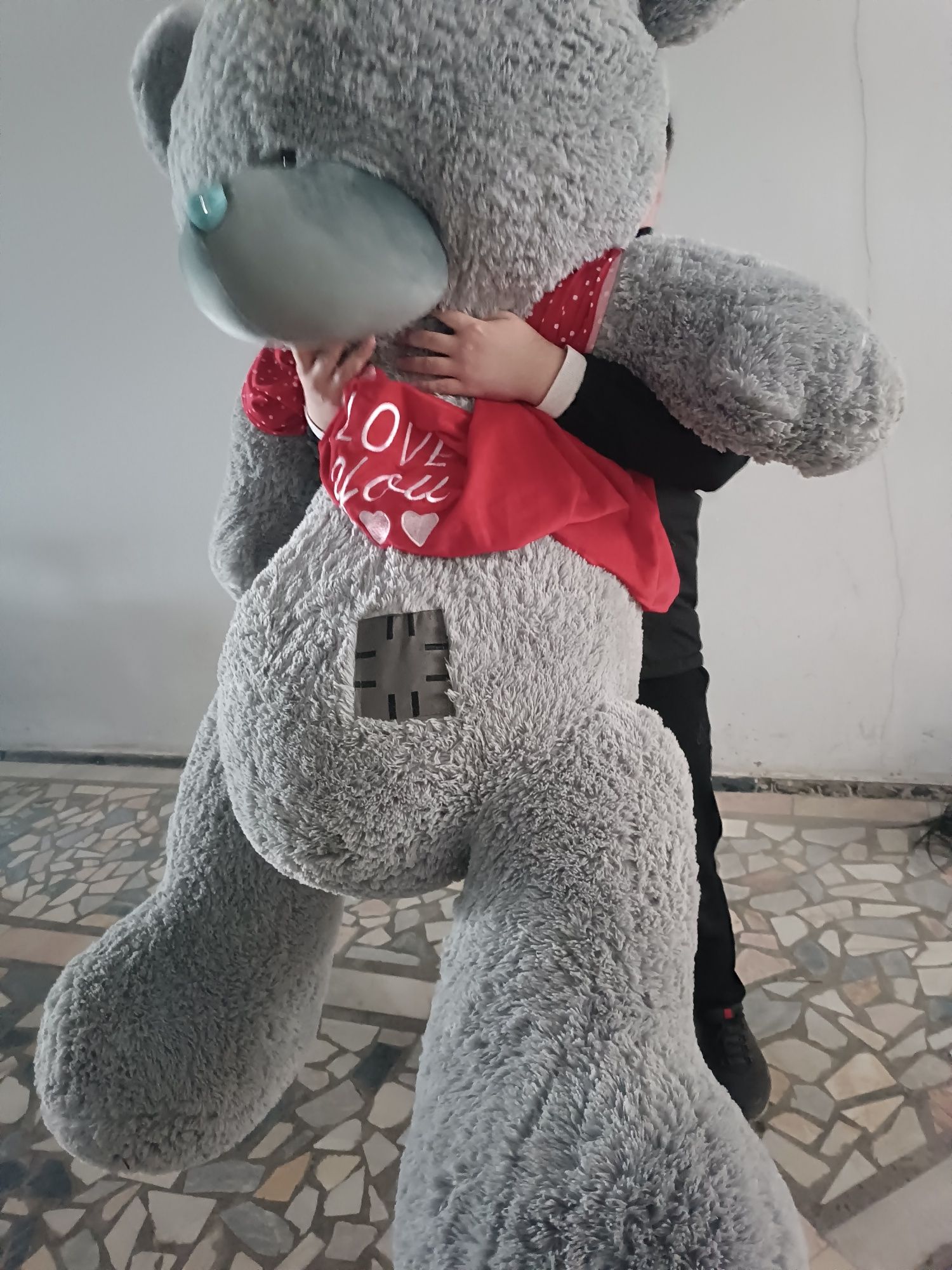 Teddy ayiq yangi