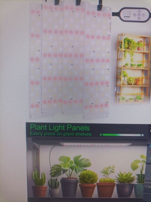 Spectru de lumini pentru creșterea plantelor
