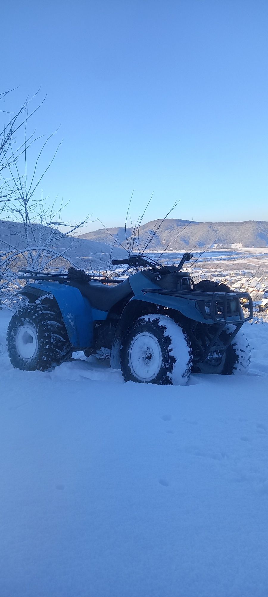 Yamaha big bear 350