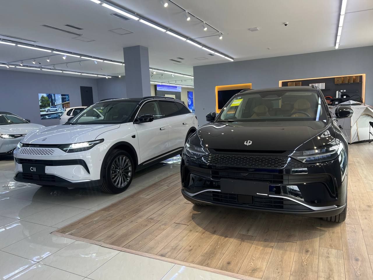 Leapmotor C11 Smart pozitsia
