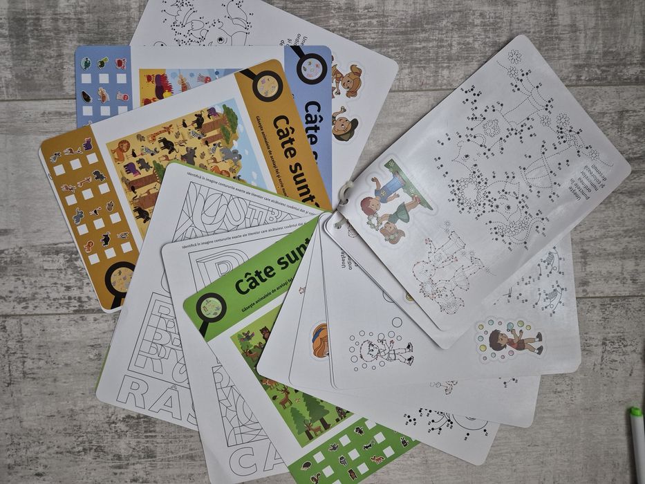 Joc de creatie si gandire Noriel- Carnetelul cu Activitati