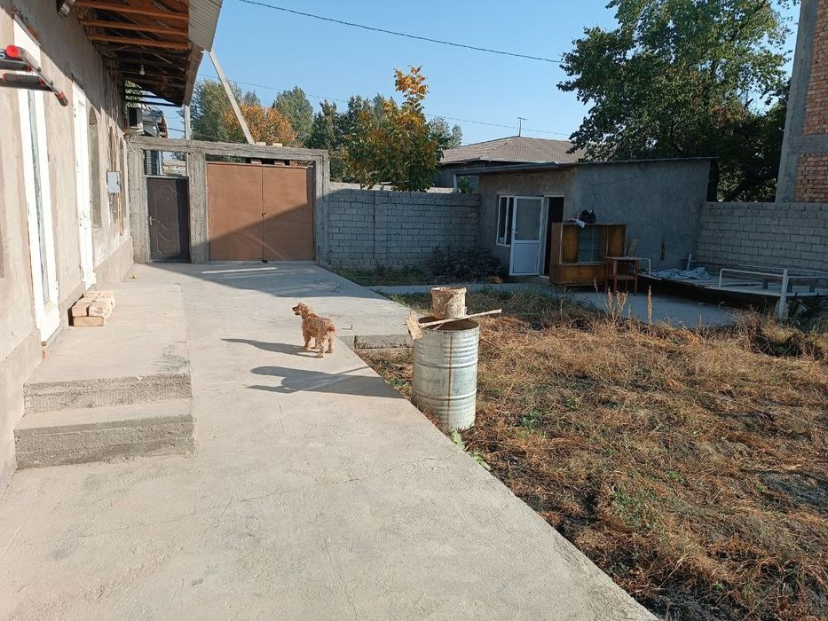 Бектемир район Барданкул Кайтмас маххалла