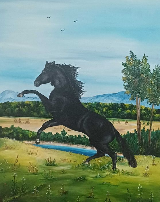 Черен мустанг край реката