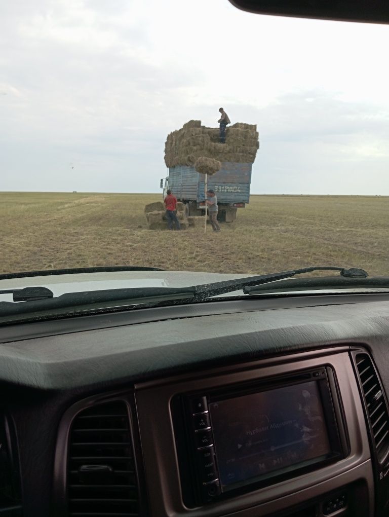 Продам сено в тюках житняк