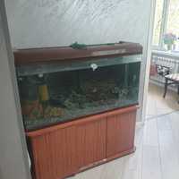 Продам аквариум 300л длина 120 ширина 36 высота 65