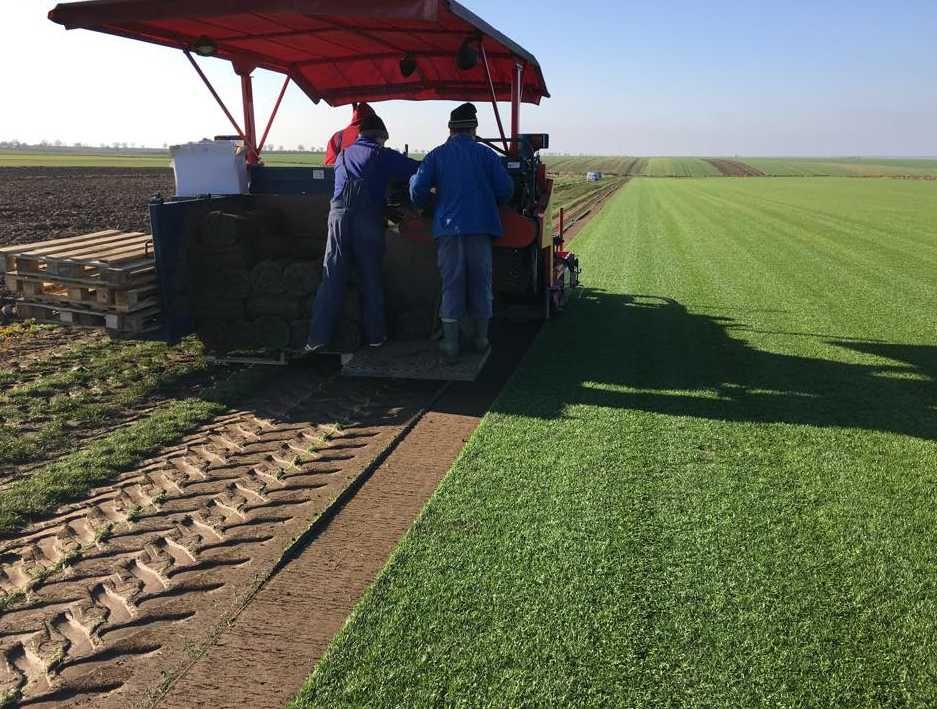 Gazon Rulou Sisteme de Irigare Profesionale Oriunde in tara