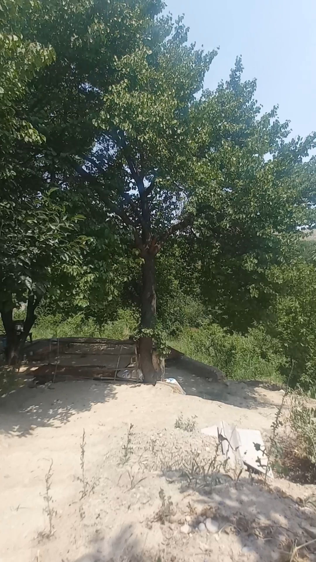 Дала ҳовли сотилади
