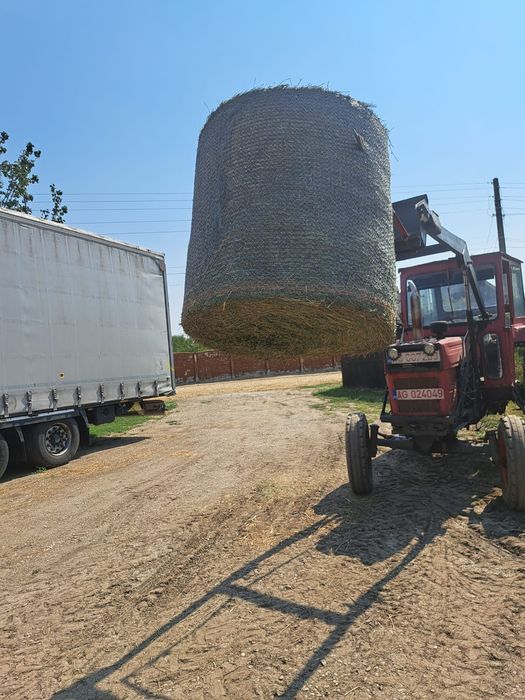 Baloti lucerna / Baloti 1,2 m/Baloti rotunzi lucerna coasa 4/Baloti