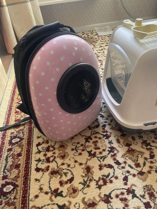 Продам рюкзак, переноску и туалет