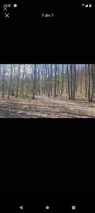 De vânzare Pădure  13 000 Mp,Josani, Peștișu Mic, Hunedoara