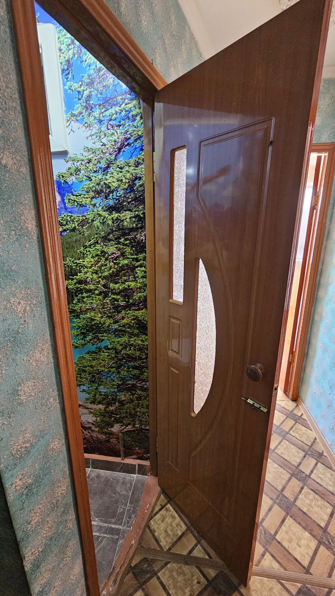 Есік. Ағаш есік (дверь)