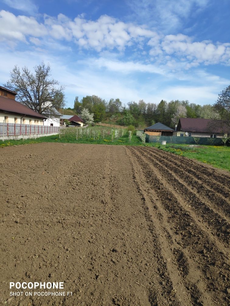 Se vinde întreaga proprietate 580000 Euro cuo suprafață de4000 m2 in